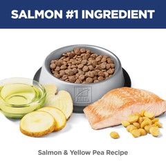 Detail of salmon as the primary protein in Hill's Science Diet grain-free formula