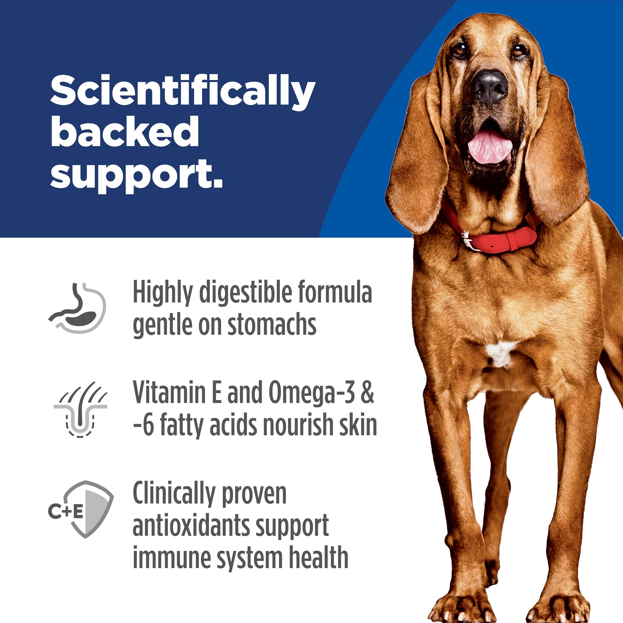 Real chicken is the first ingredient in Hill's Science Diet large-breed recipe.