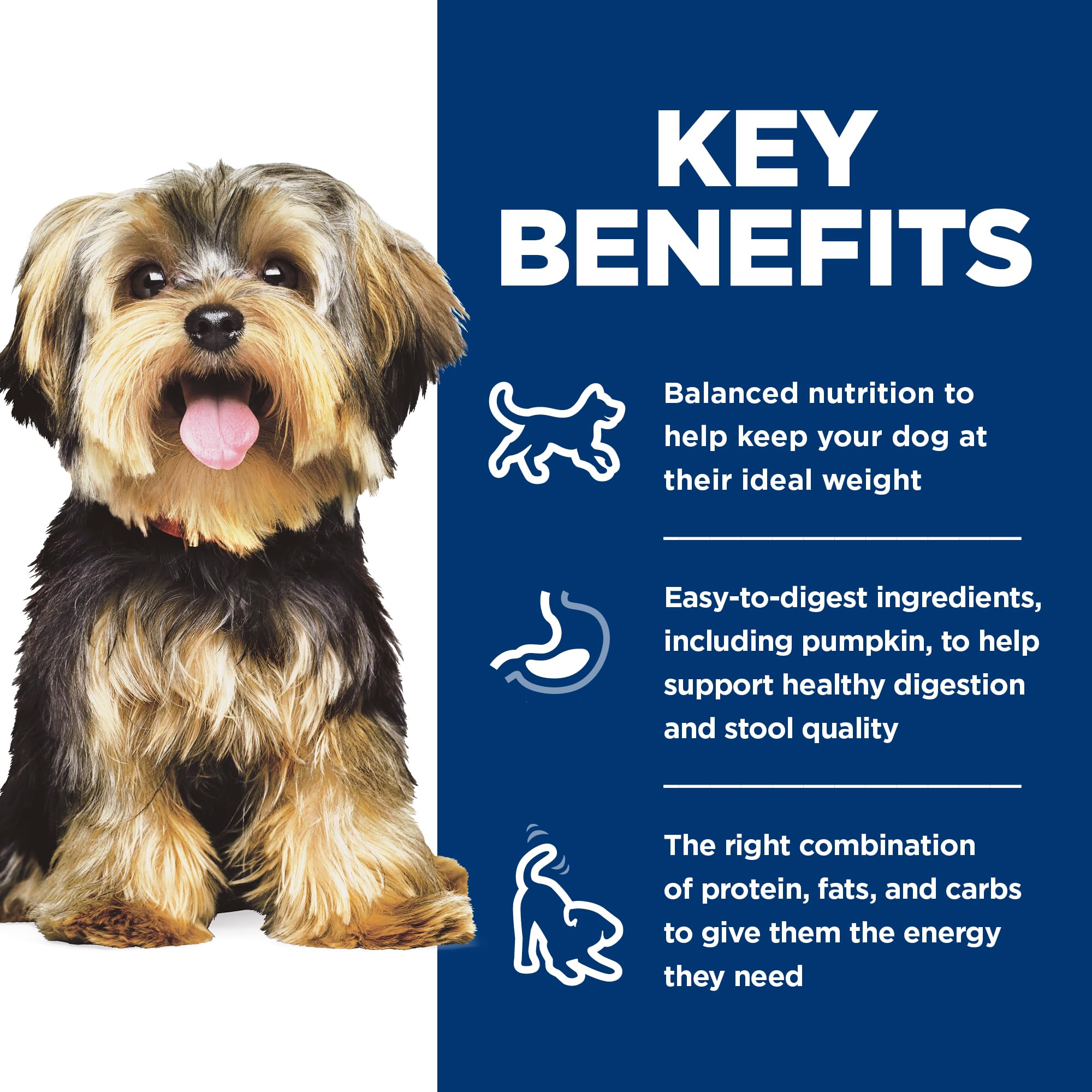 Hill's Science Diet canned dog food with antioxidant blend for vitality in small dogs