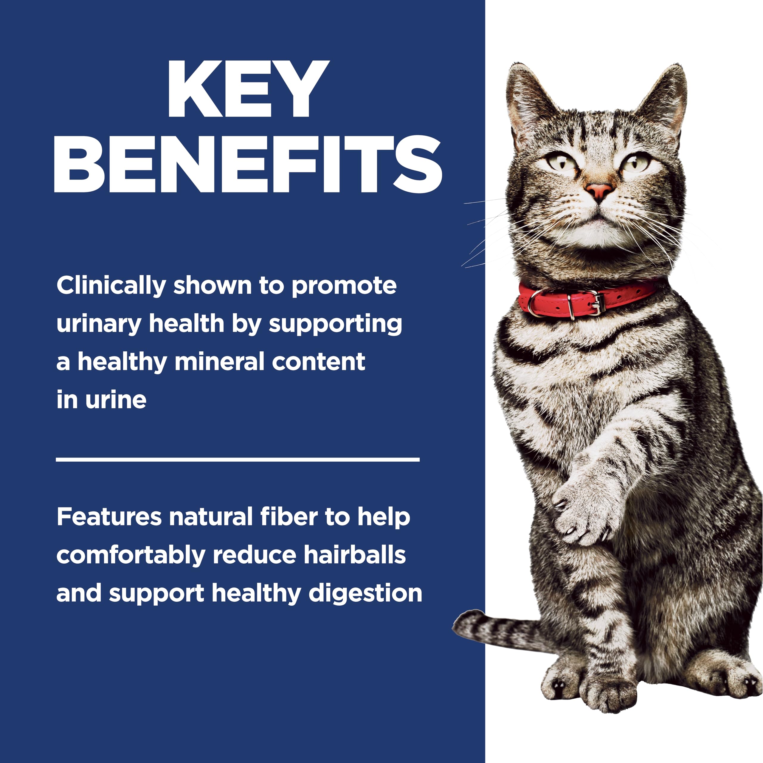 Serving bowl of Hill's Science Diet Urinary Hairball food for daily meals