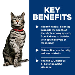 Close-up of Hill's Science Diet wet cat food with minced chicken texture and protein