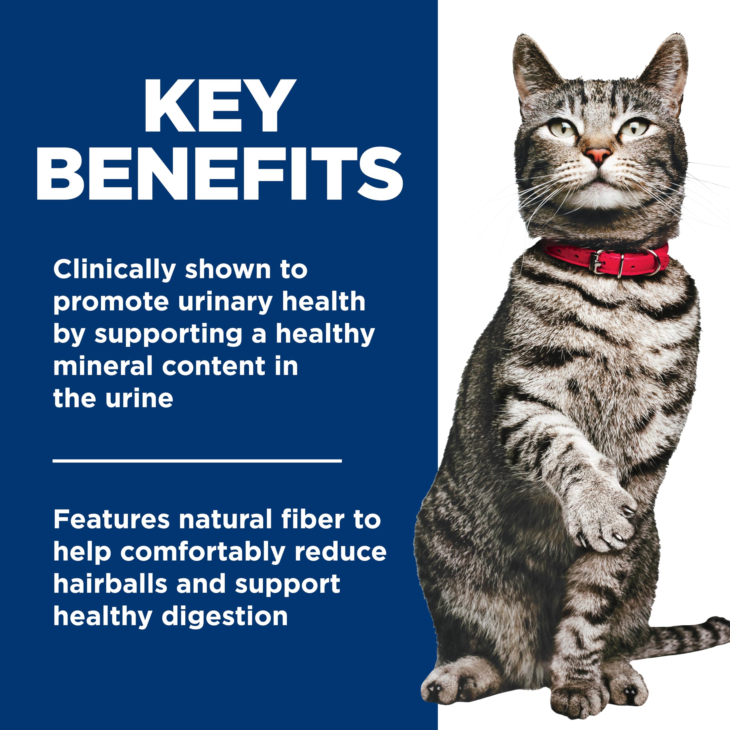 Hill's Science Diet Adult Urinary Hairball Omega-6 nutrition image, supports healthy skin and coat.