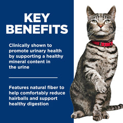 Hill's Science Diet Adult Urinary Hairball Omega-6 nutrition image, supports healthy skin and coat.