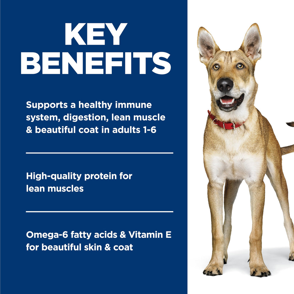Hill's Science Diet ingredients emphasize high-quality protein and easy digestion