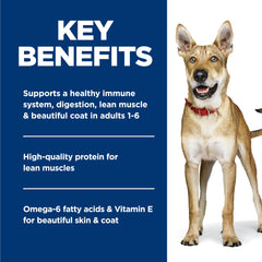 Hill's Science Diet Adult Beef & Barley dog enjoying meal, palatability shown.