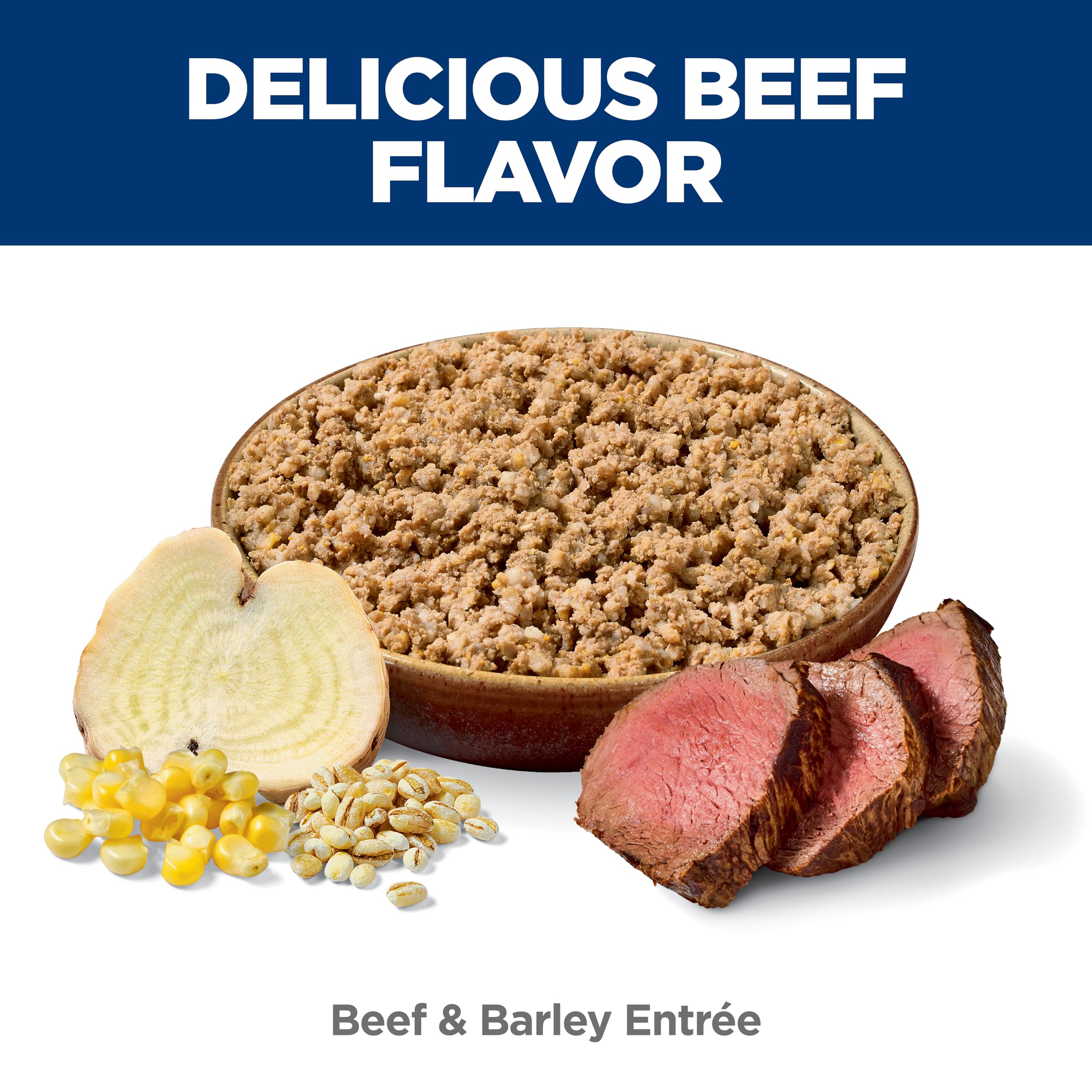 Hill's Science Diet Adult Beef & Barley serving bowl, ready to enjoy.