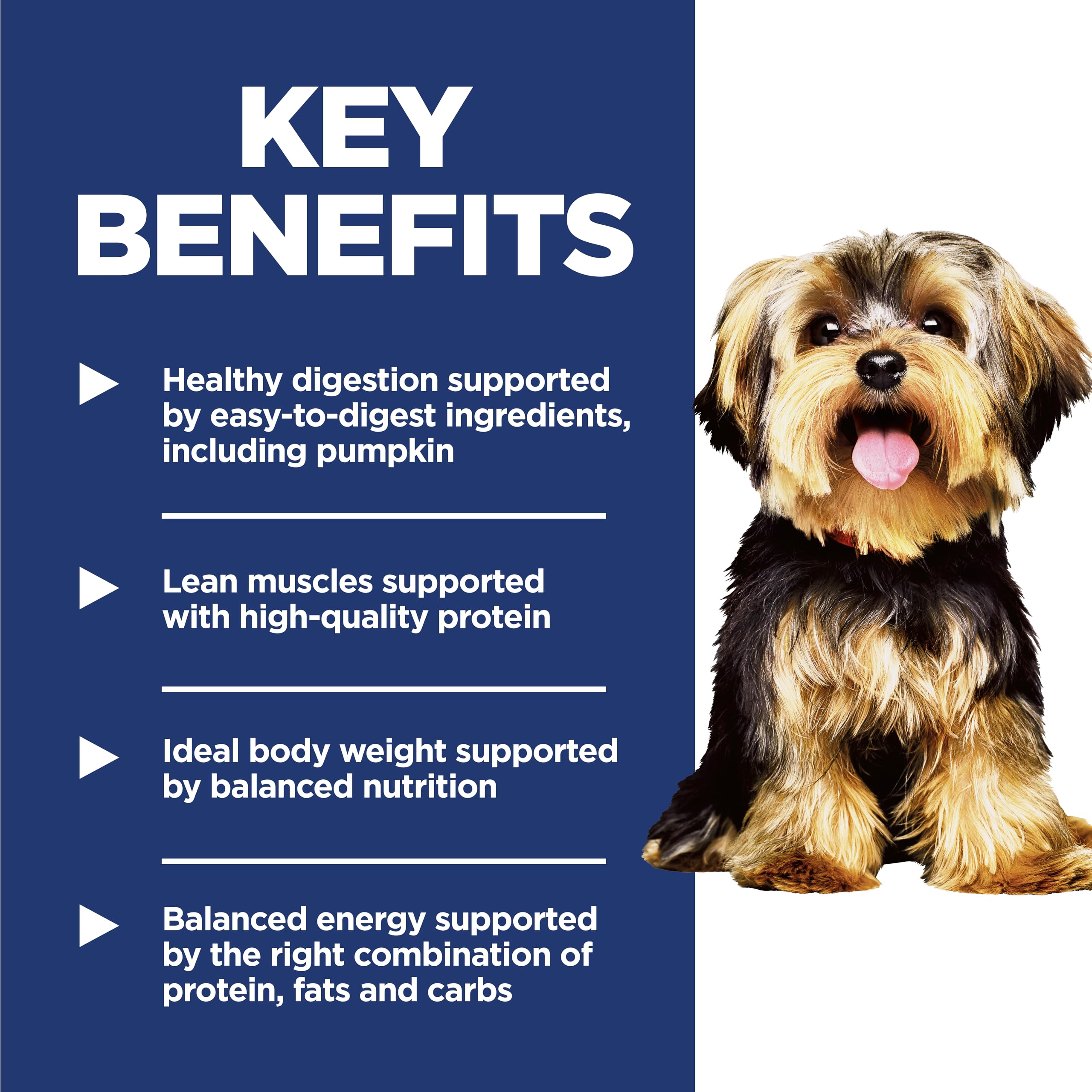 Hill's Science Diet bowl with kibble supporting tiny breeds' ideal weight