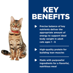Hill's Science Diet cat bowl during mealtime illustrates appealing texture and aroma.