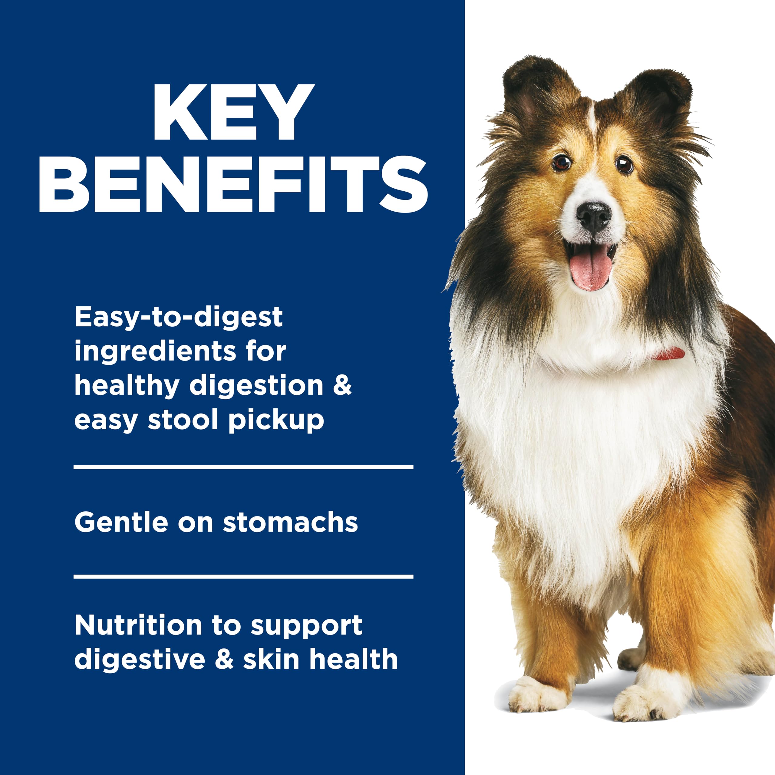 Hill's Science Diet chicken and vegetable entrée pouch with balanced nutrition for dogs.