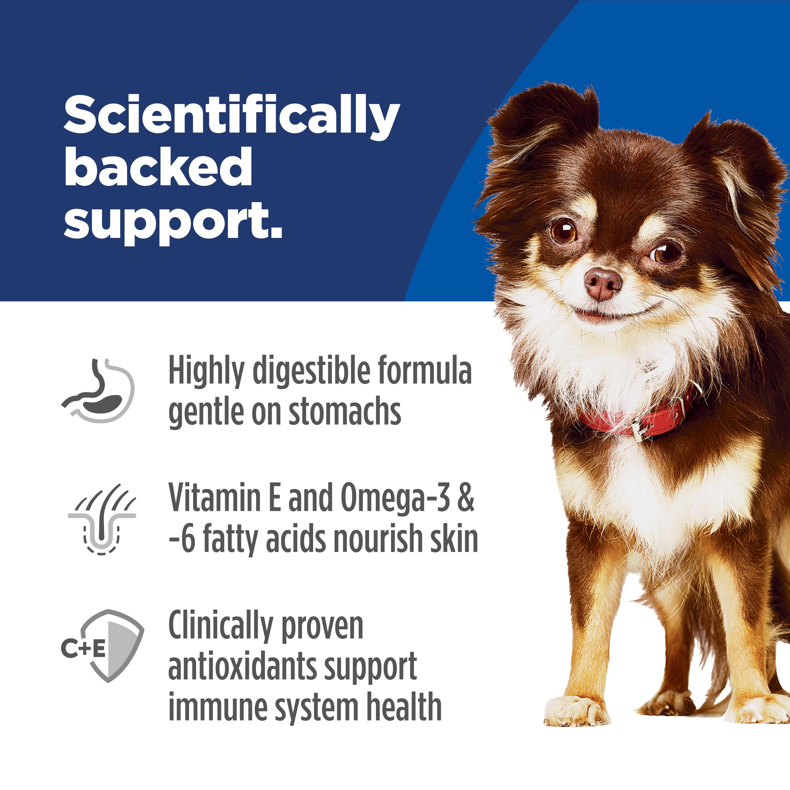 Hill's Science Diet dog enjoying a meal in a bowl for sensitive stomachs.