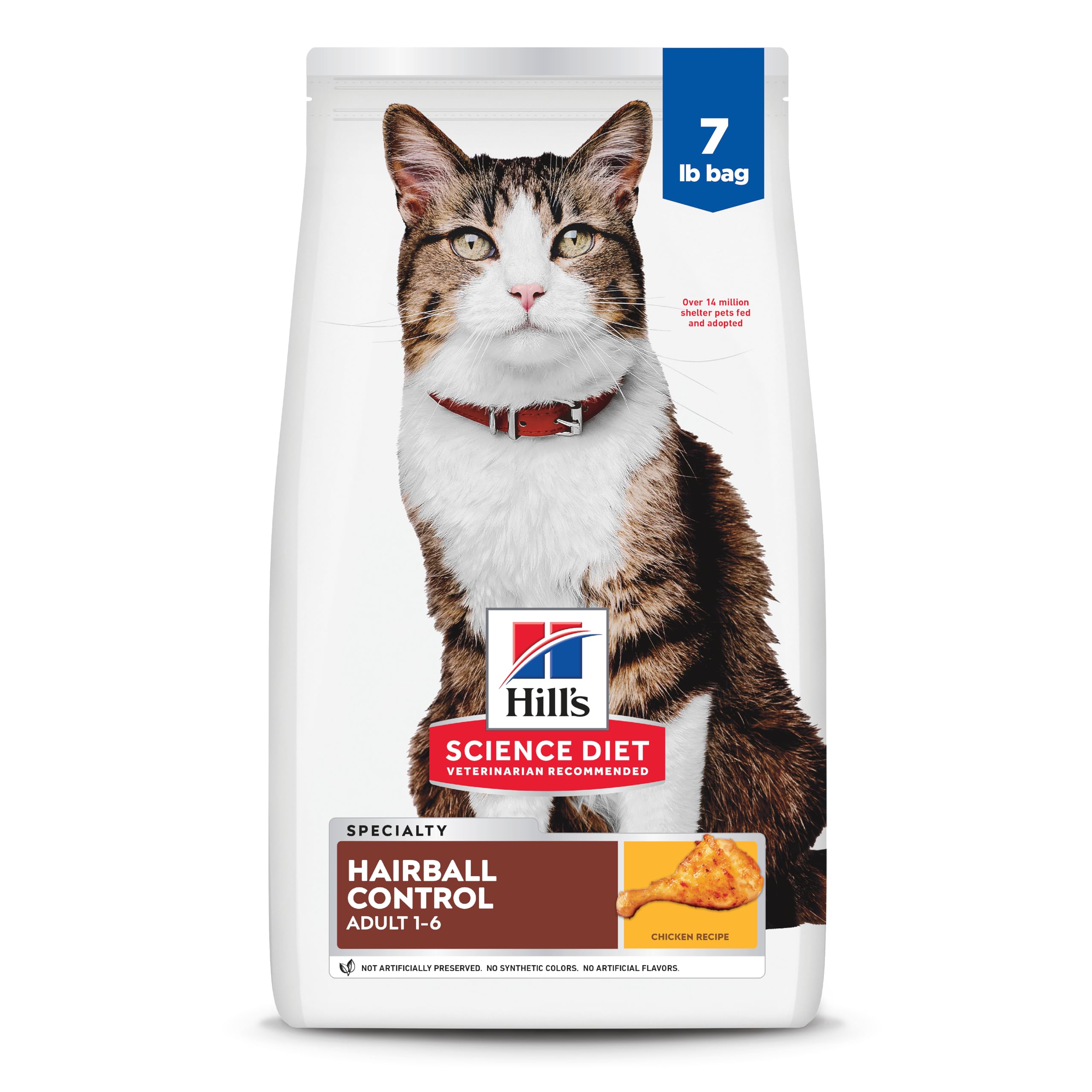 Hill's Science Diet Hairball Control dry cat food in a bowl for easy feeding