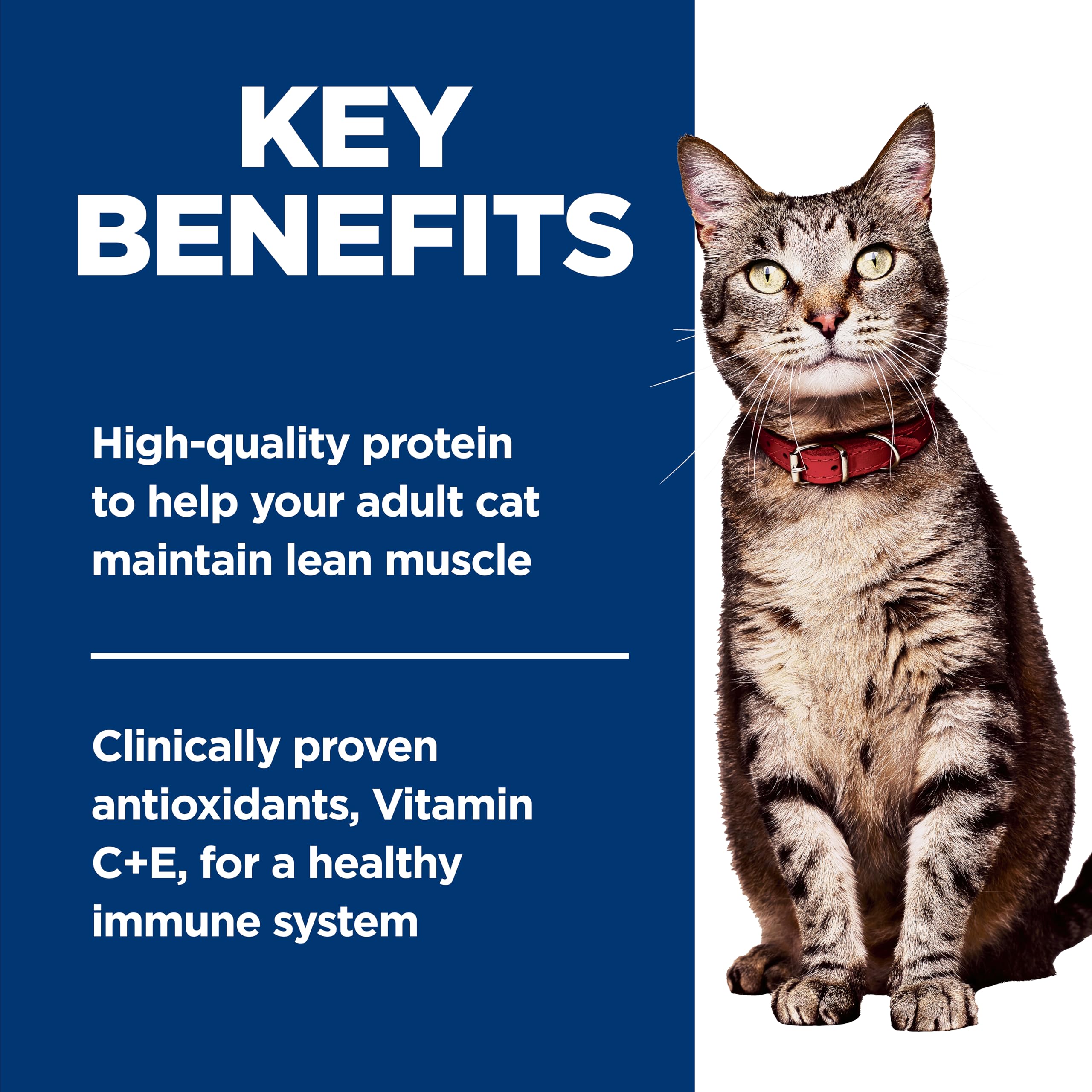 Hill's Science Diet high-quality protein supports lean muscle in adult cats