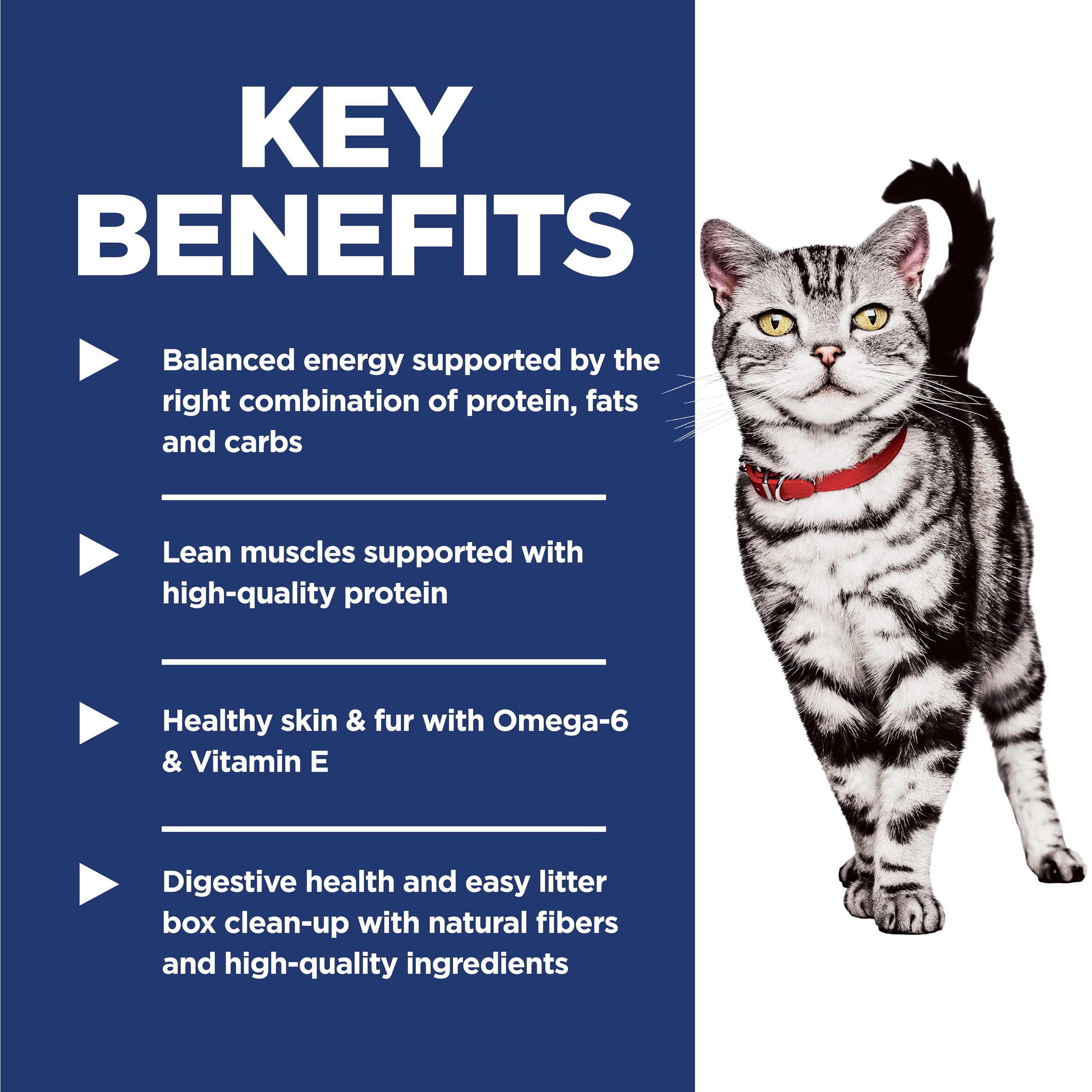 Hill's Science Diet cat food features Omega-6 and Vitamin E for healthy skin and fur.