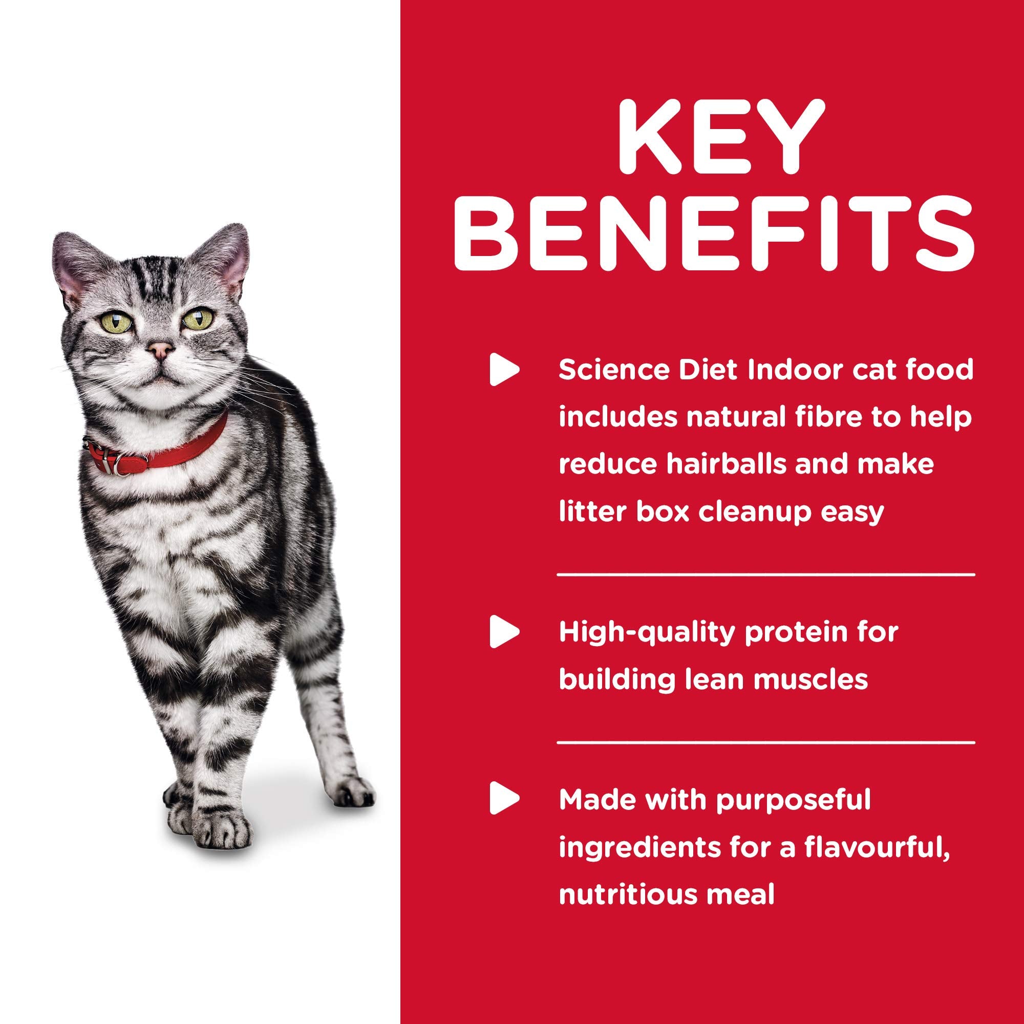 Hill's Science Diet Indoor Cat Chicken Entrée packaging showcasing convenient, balanced indoor nutrition