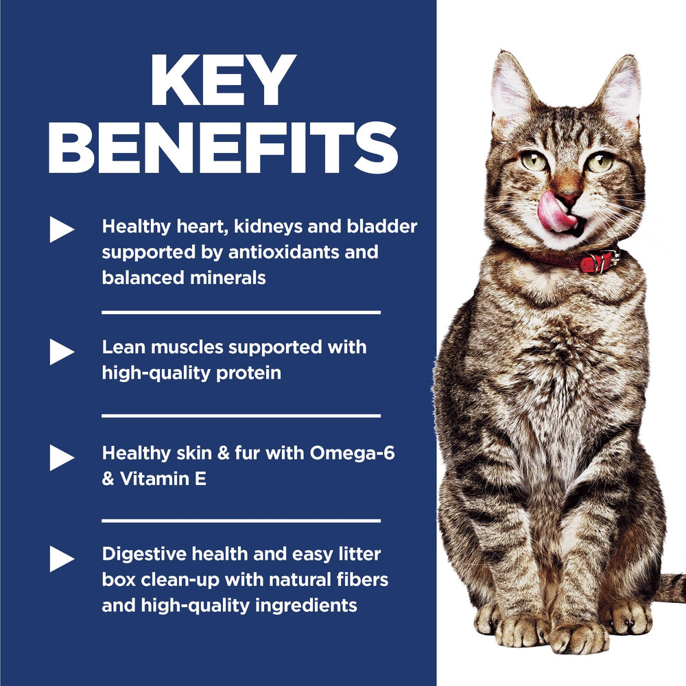 Close-up of Hill's Science Diet Indoor Senior 7+ kibble texture and digestibility.