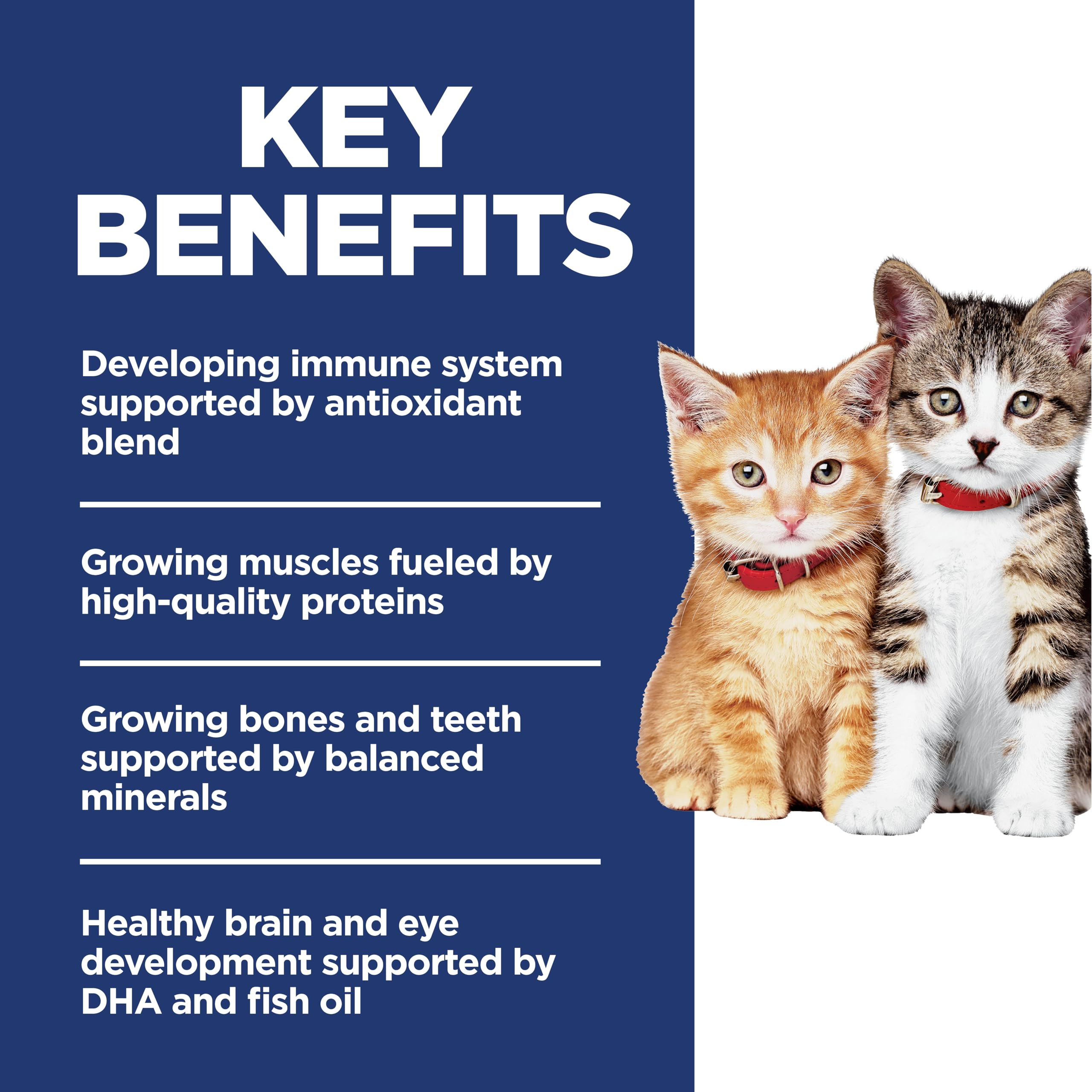 Hill's Science Diet kitten DHA fish-oil label highlighting eye and brain support