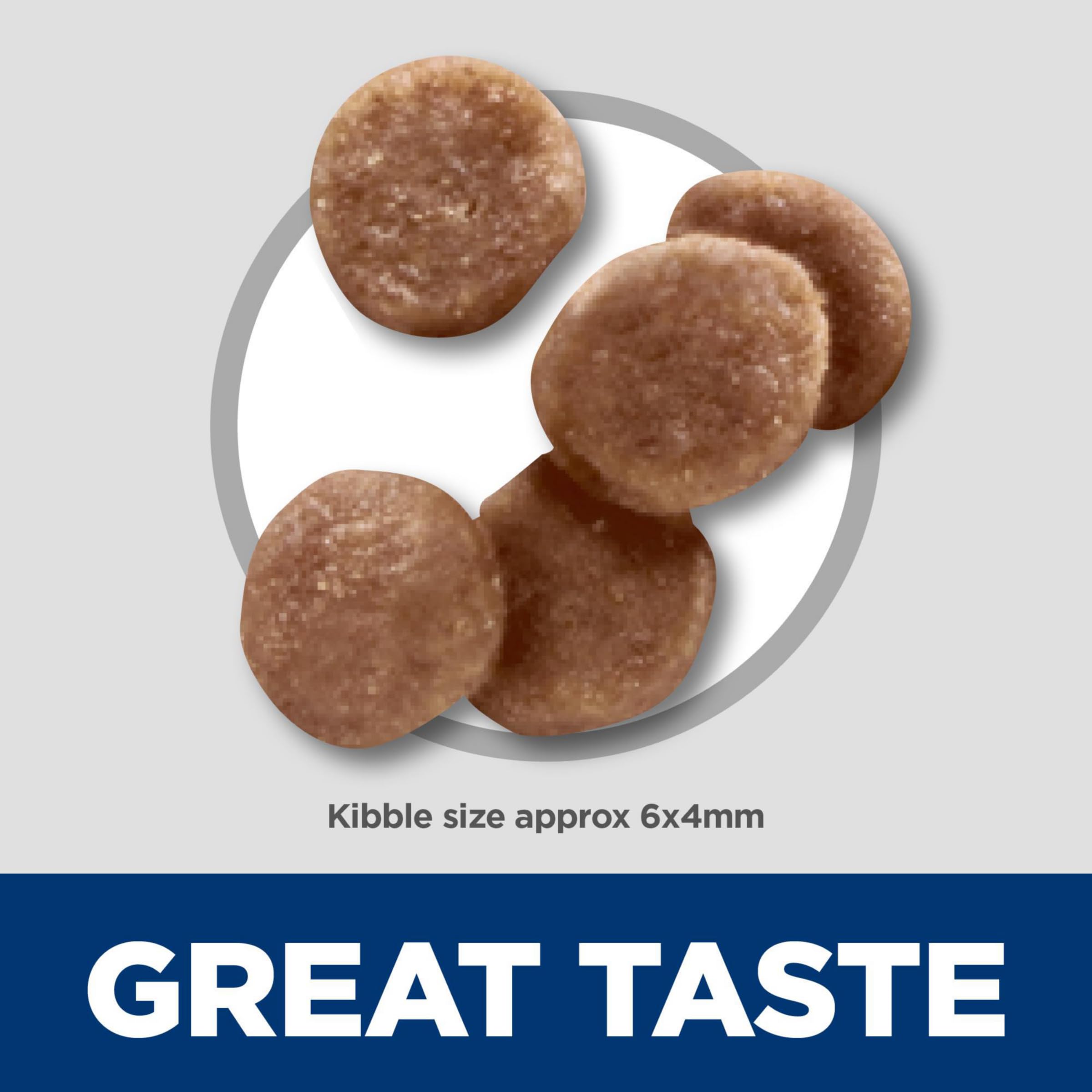 Hill's Science Diet Kitten Chicken kibble closeup highlighting quality protein