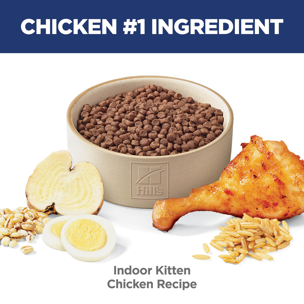 Hill's Science Diet Kitten Indoor kibble close-up with balanced minerals for bone growth