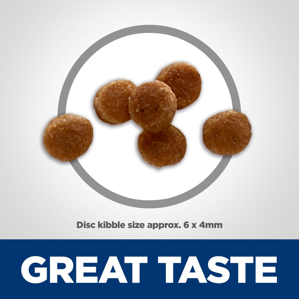 Kibble close-up of Hill's Science Diet Kitten – high-quality protein for growing muscles