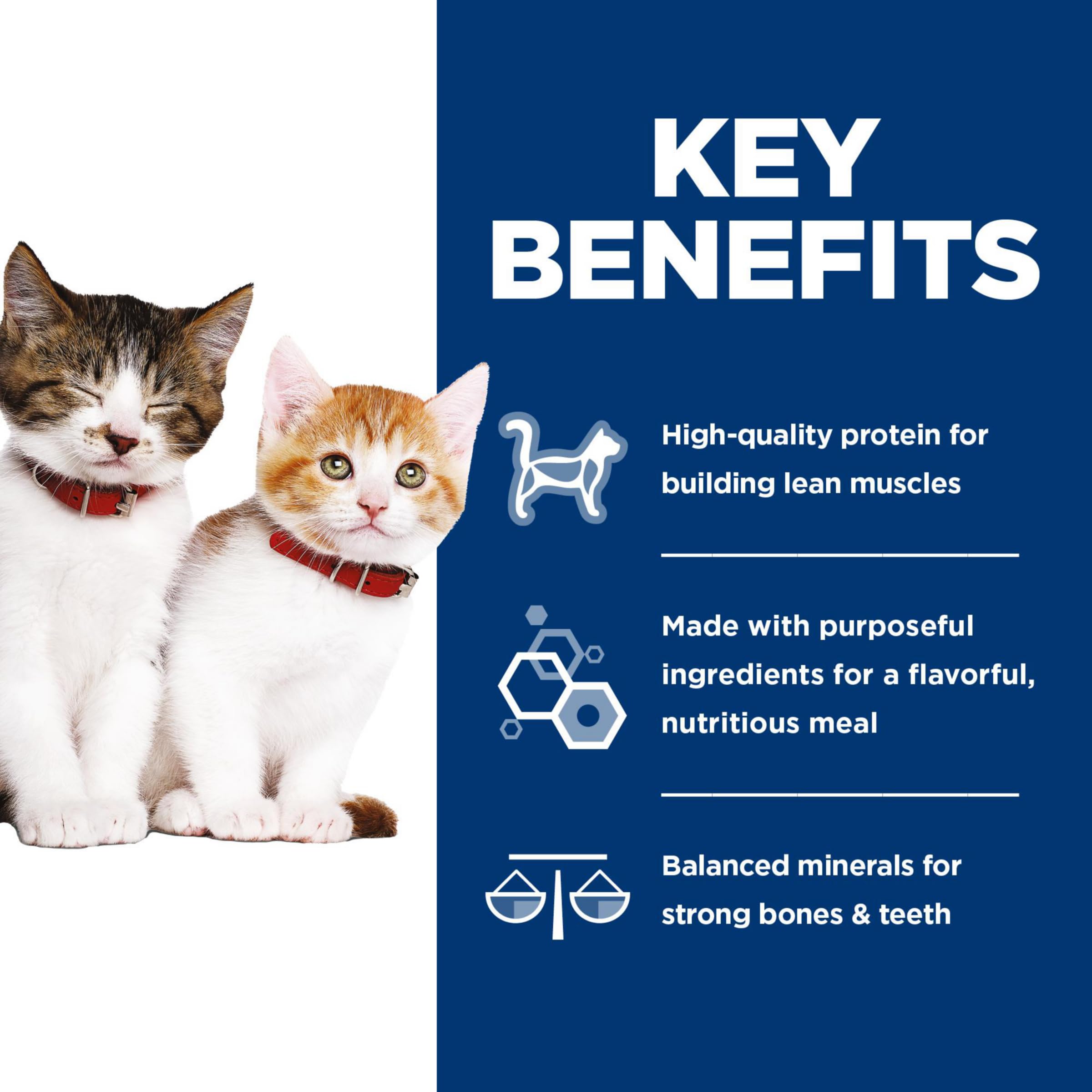 Hill's Science Diet Savory Salmon Entrée close-up highlights omega-3 and palatable texture for kittens.