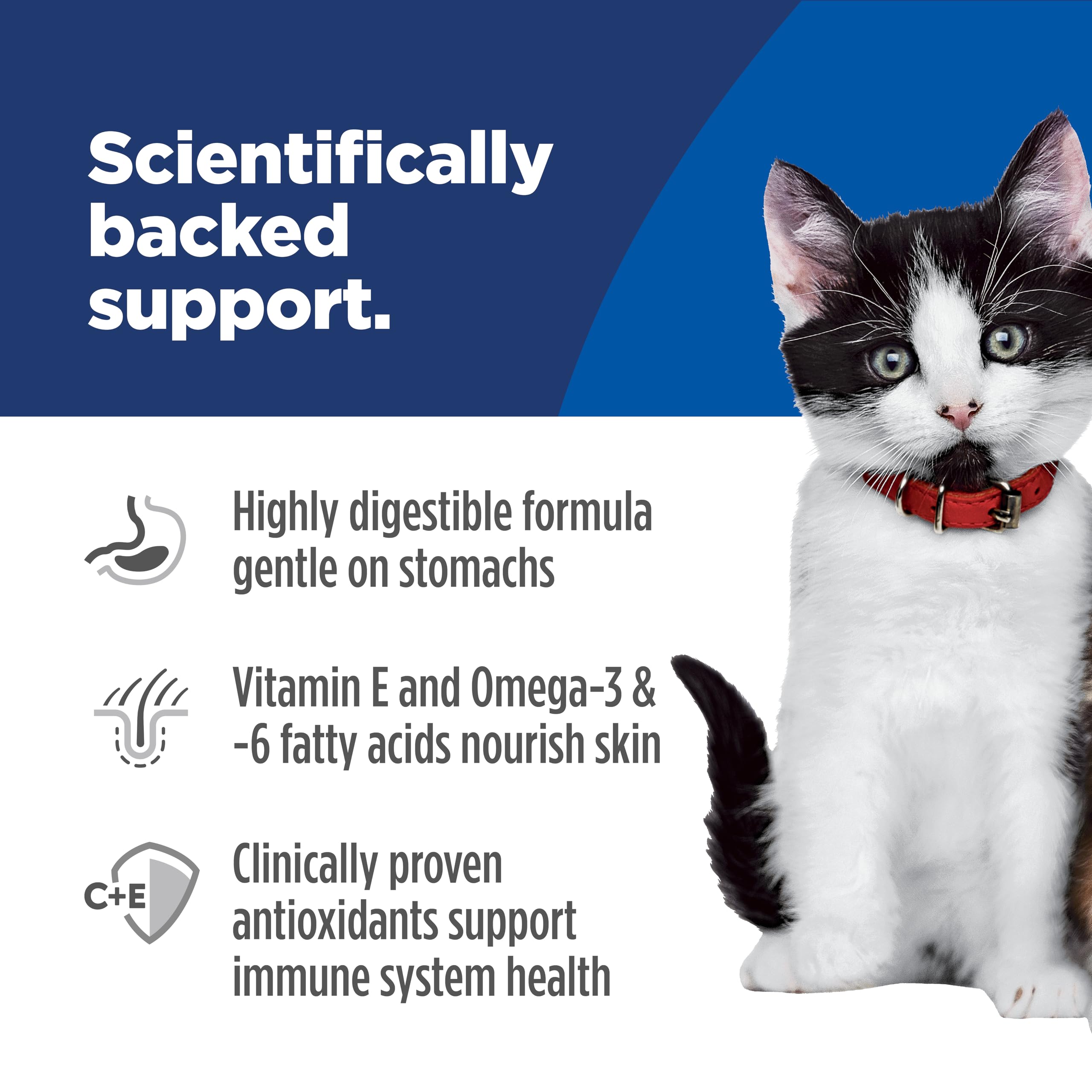 Hill's Science Diet Kitten ingredient salmon emphasizes high-quality protein.