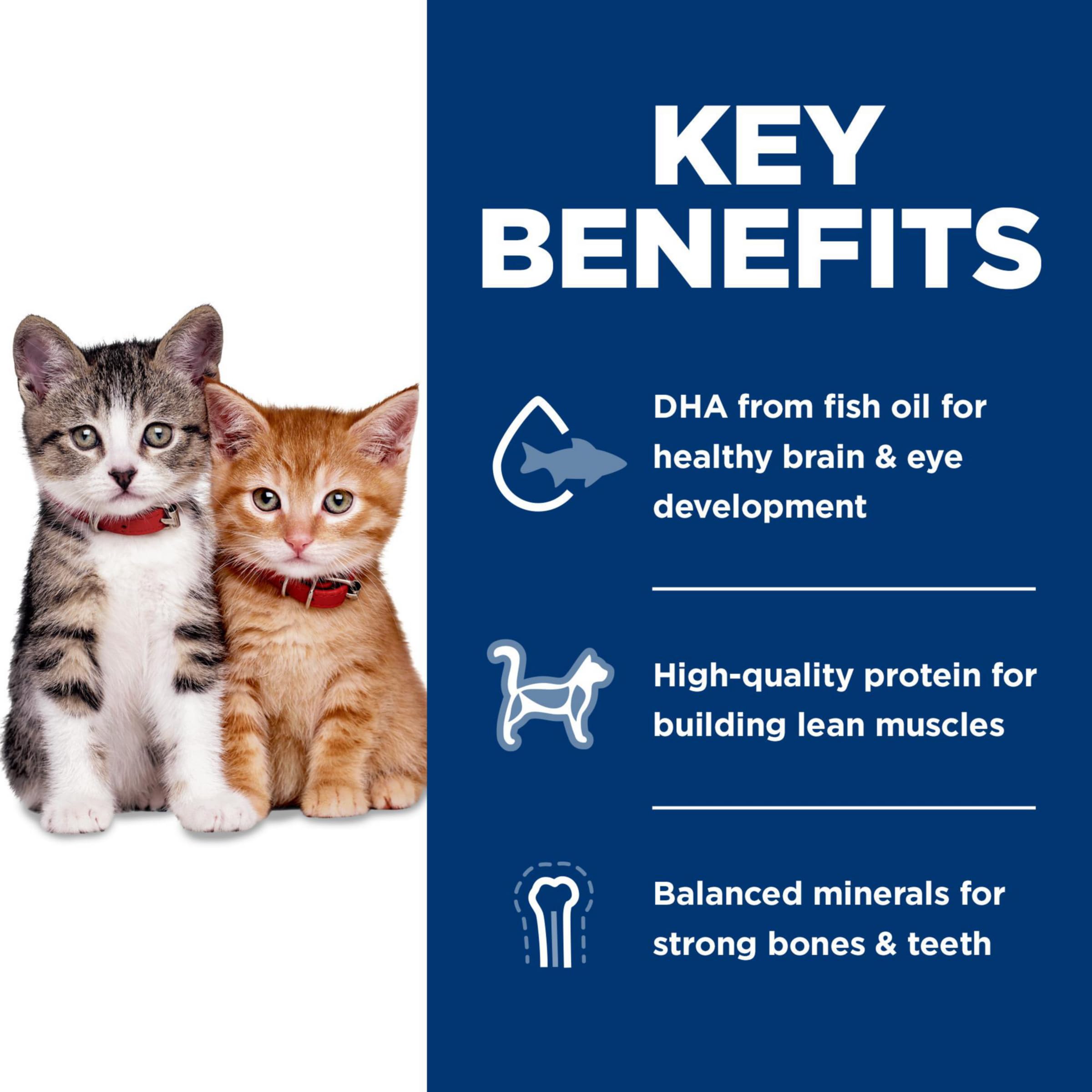 Serving in a bowl – Hill's Science Diet Kitten for active play
