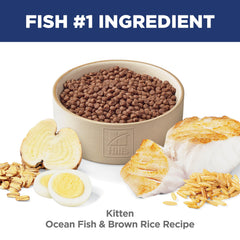 Hill's Science Diet Kitten kibble served in a bowl for mealtime.