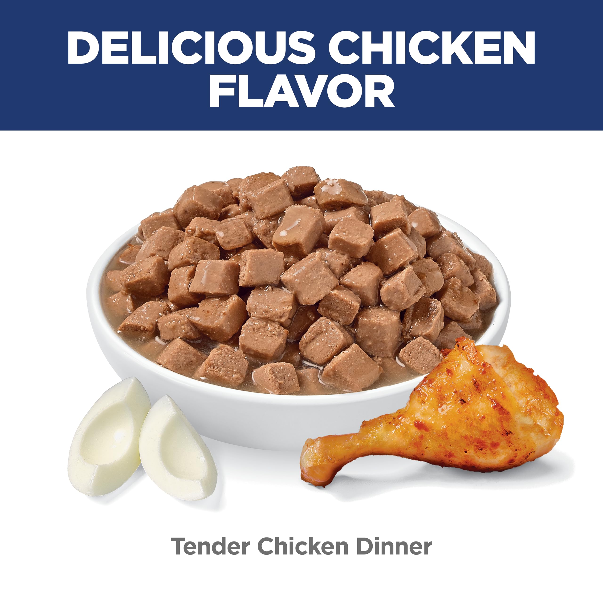 Hill's Science Diet Kitten Tender Chicken Dinner served in a bowl
