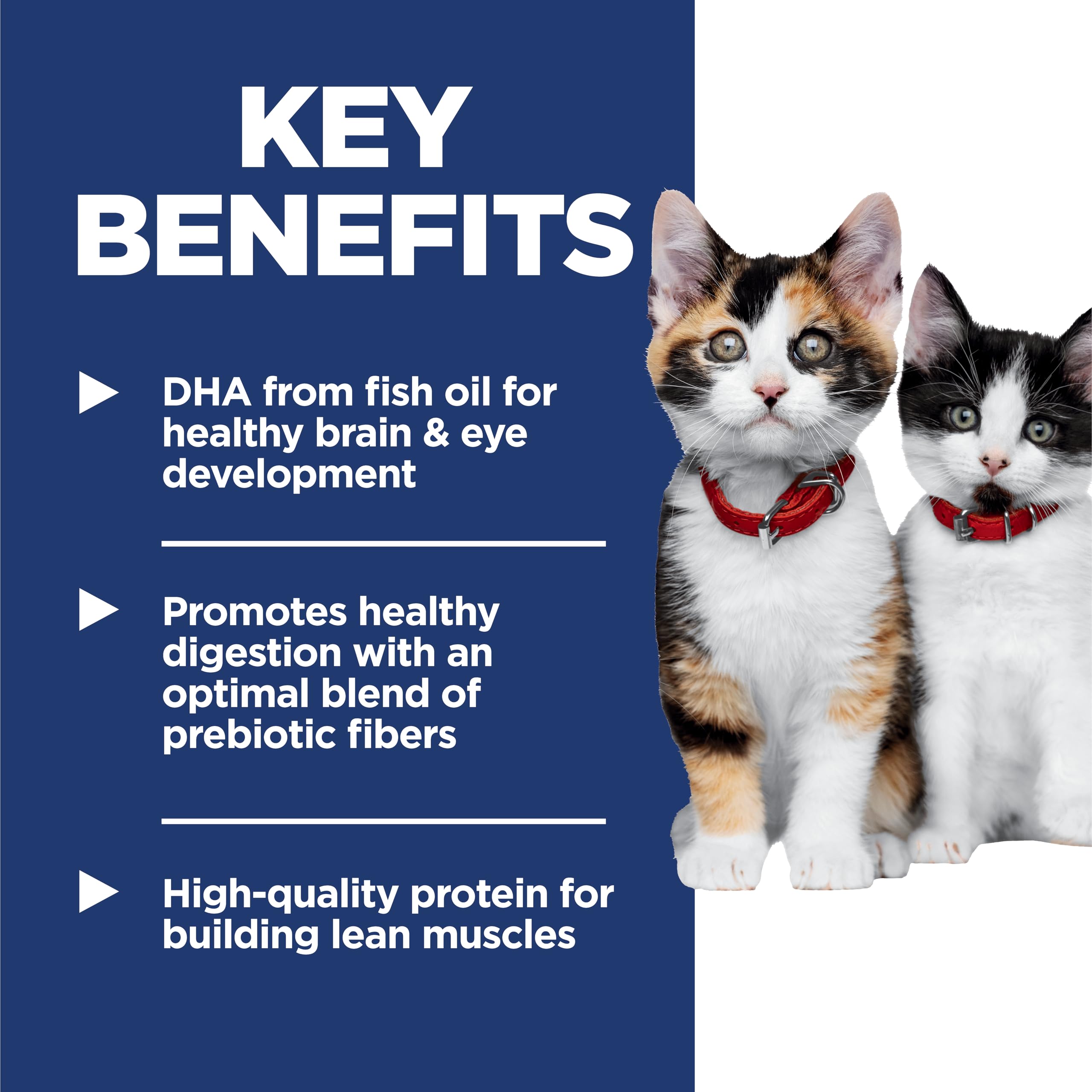 Ingredients visual for Hill's Science Diet Kitten, highlighting DHA and prebiotic fibers