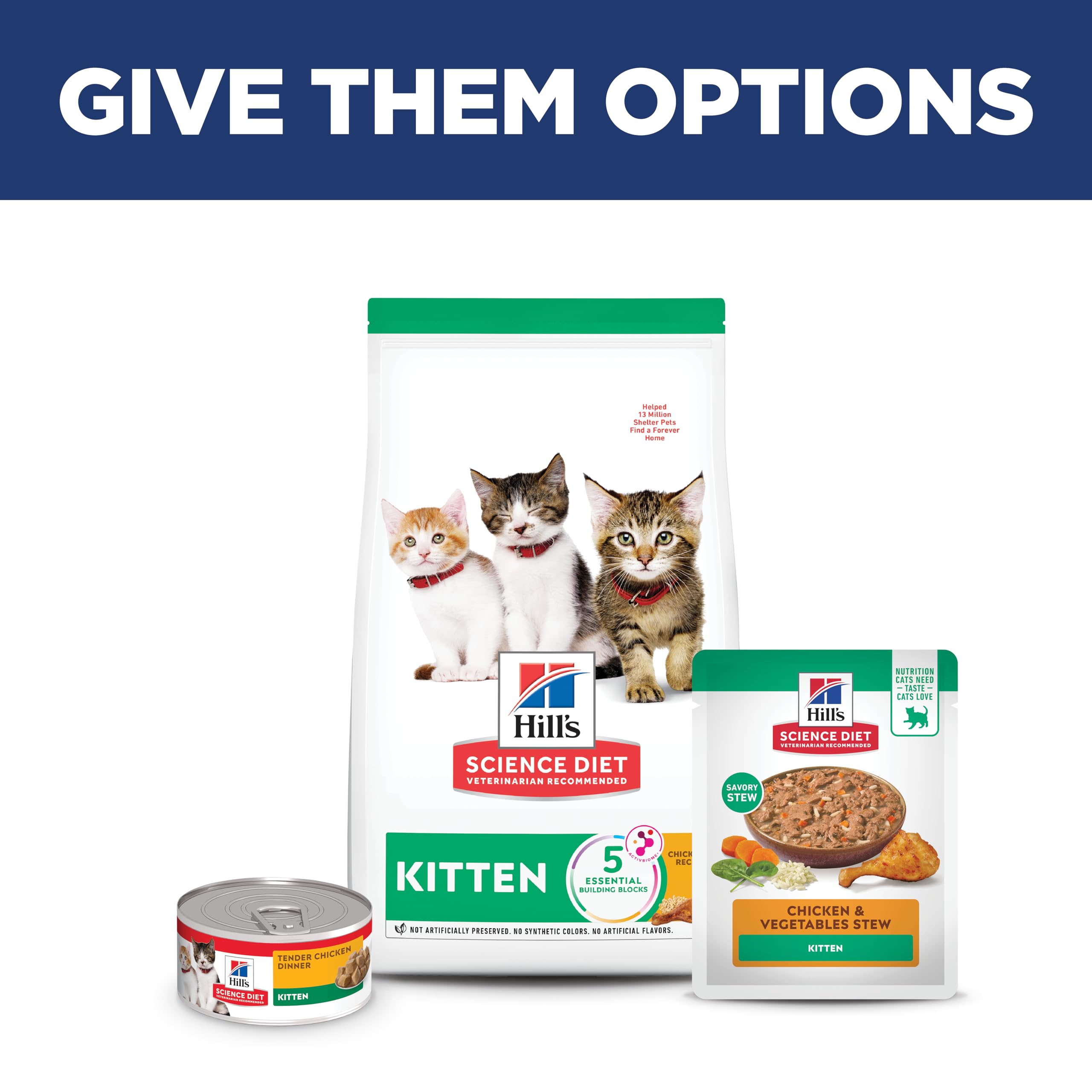 Zoomed bowl of Hill's Kitten Wet Food, ready to serve at mealtime