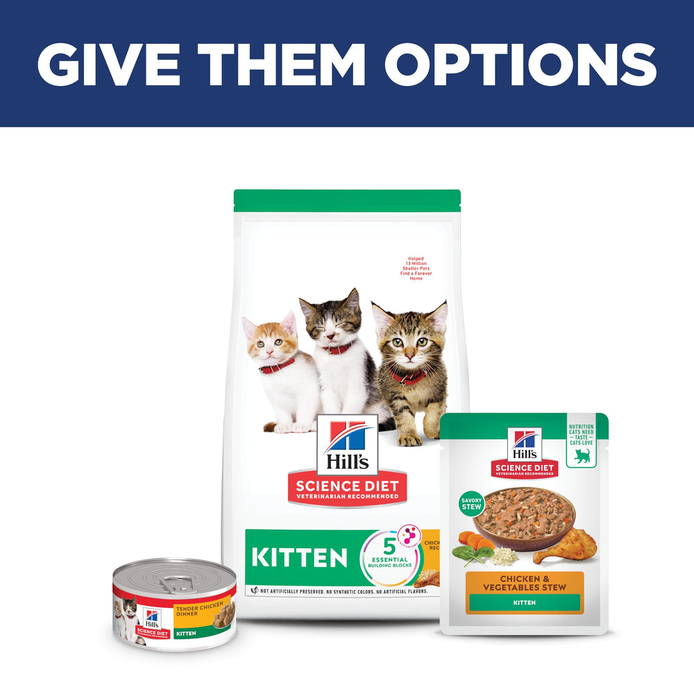Zoomed bowl of Hill's Kitten Wet Food, ready to serve at mealtime