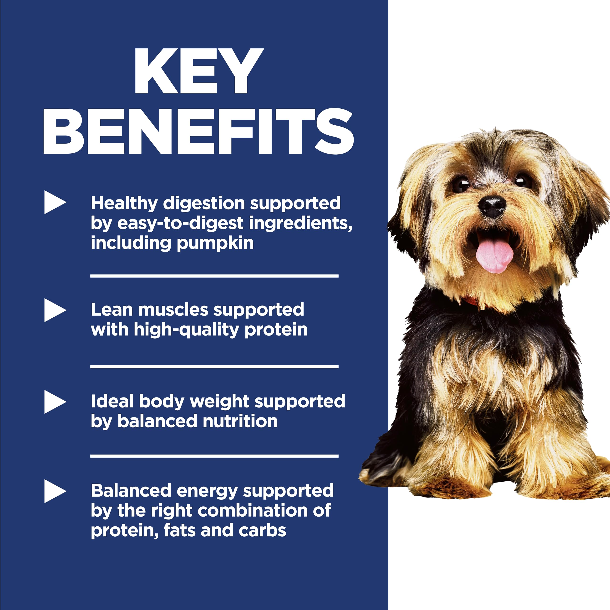Hill's Science Diet lamb meal recipe supports healthy digestion with pumpkin in small-breed kibble