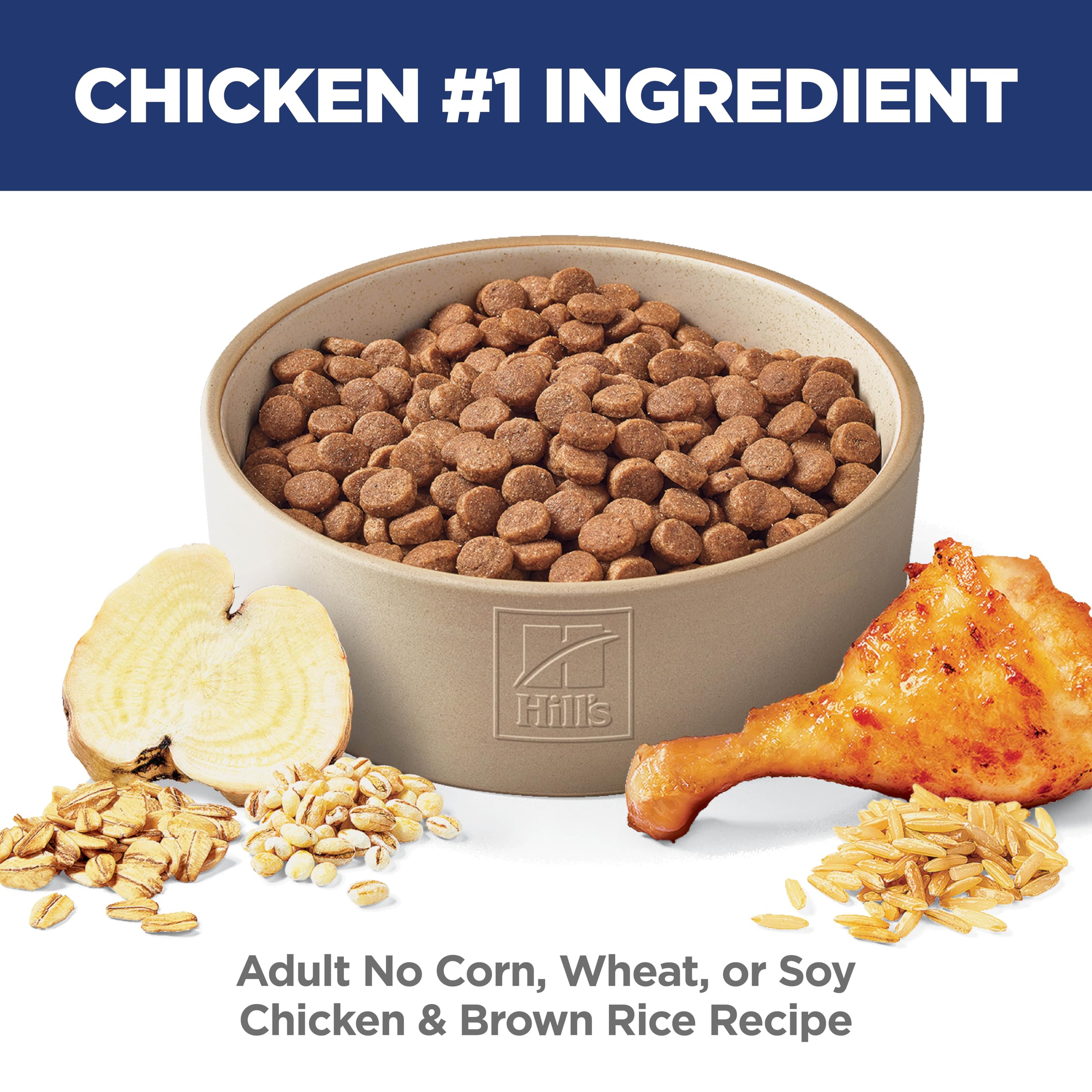 Hill's Science Diet lean muscles kibble close-up showing high-quality protein