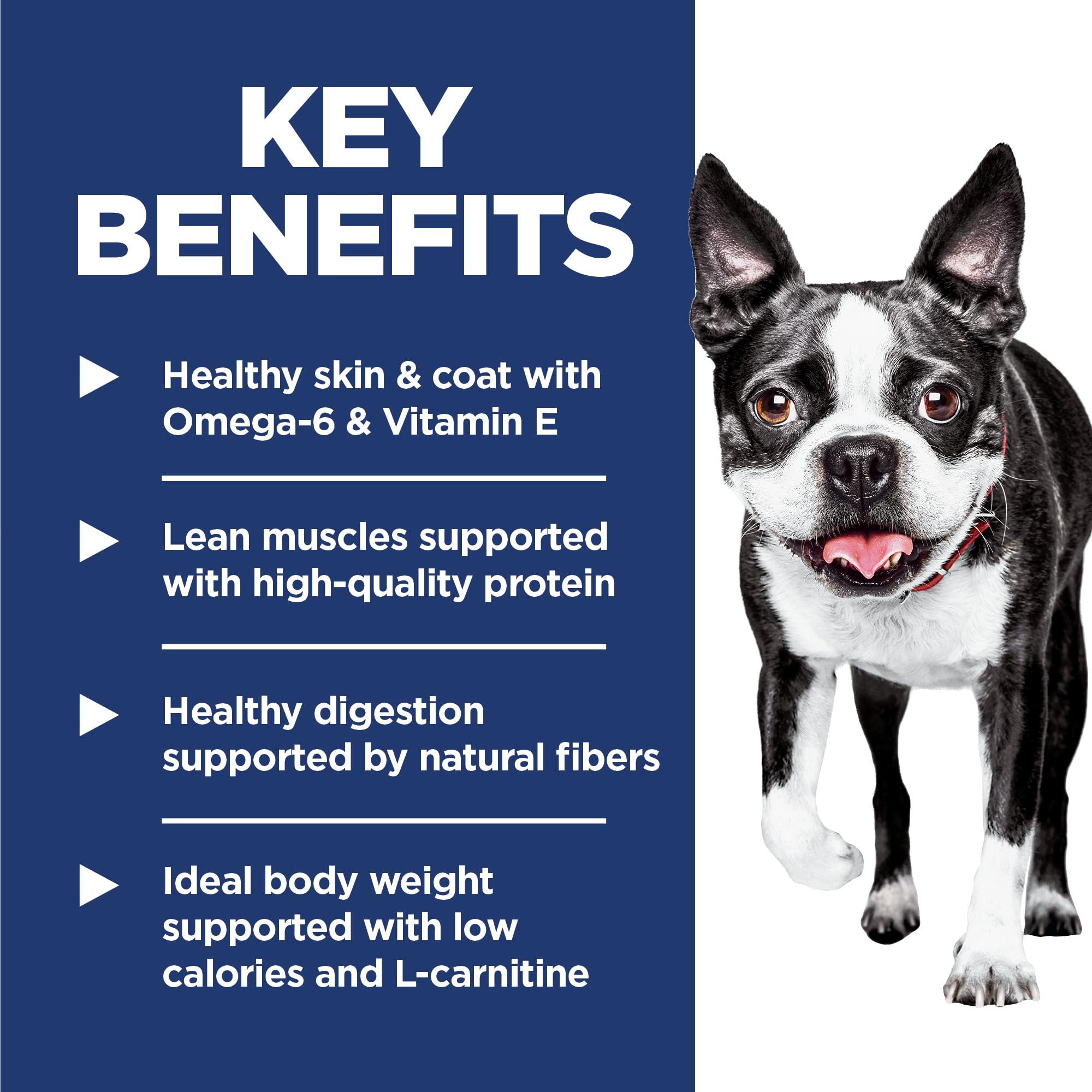 Close-up of Hill's Light Small Bites chicken meal kibble highlights lean protein.