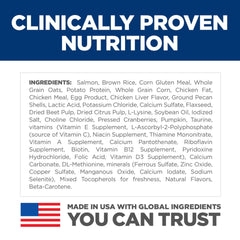 Kibble close-up with oats and pumpkin blend showcases balanced nutrition for gut health.