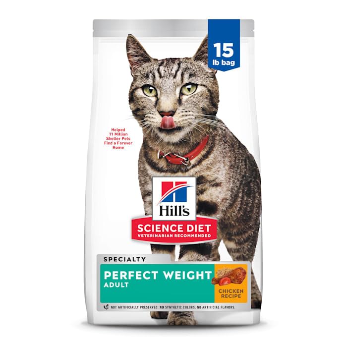 Cat eating Hill's Science Diet Perfect Weight with arched back