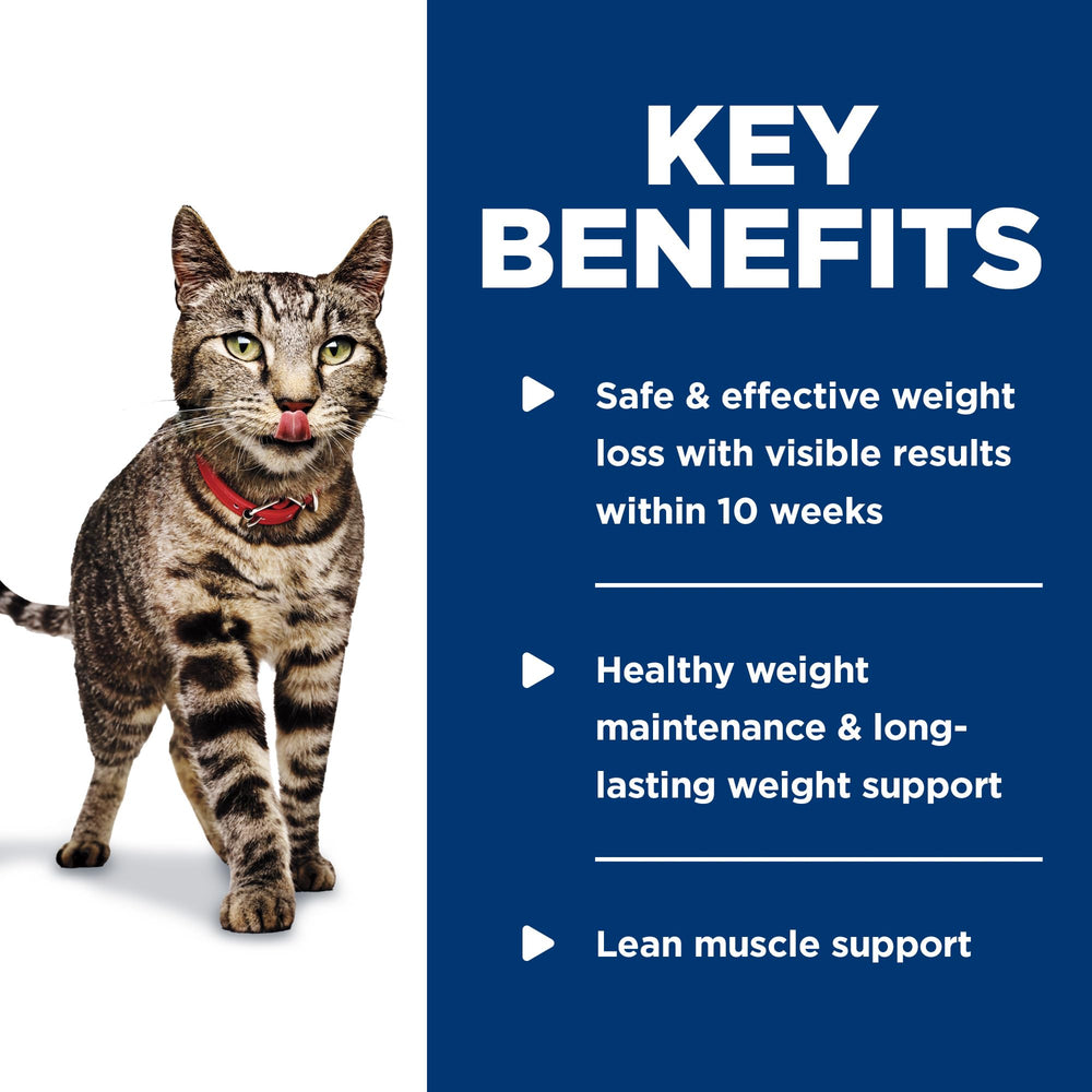 Hill's Science Diet Perfect Weight serving bowl depicts palatable texture your cat may enjoy.