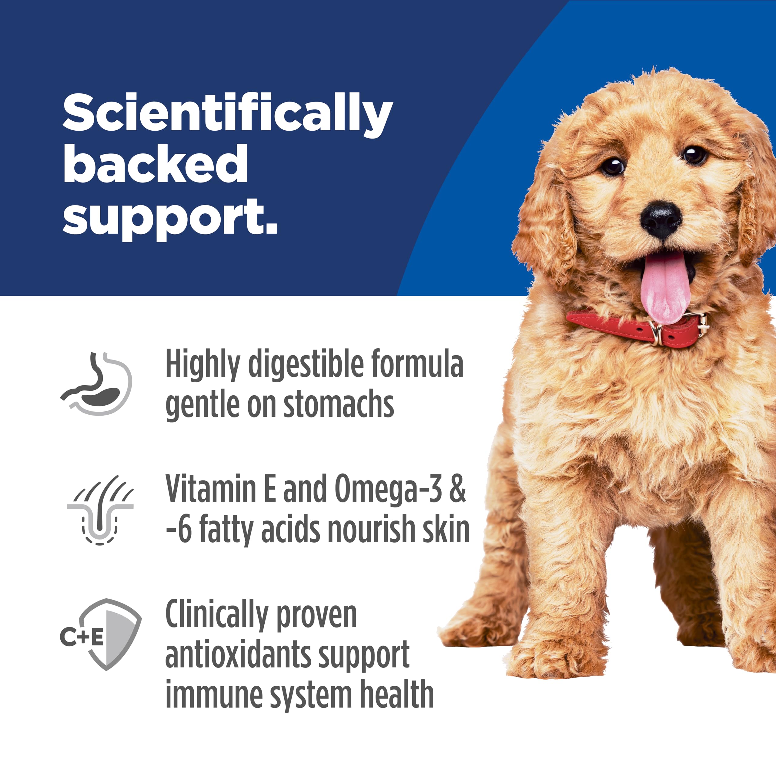 Hill's Science Diet Puppy DHA supports brain and eyes