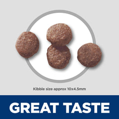 Hill's Science Diet Puppy kibble closeup showing texture and taste for puppies.