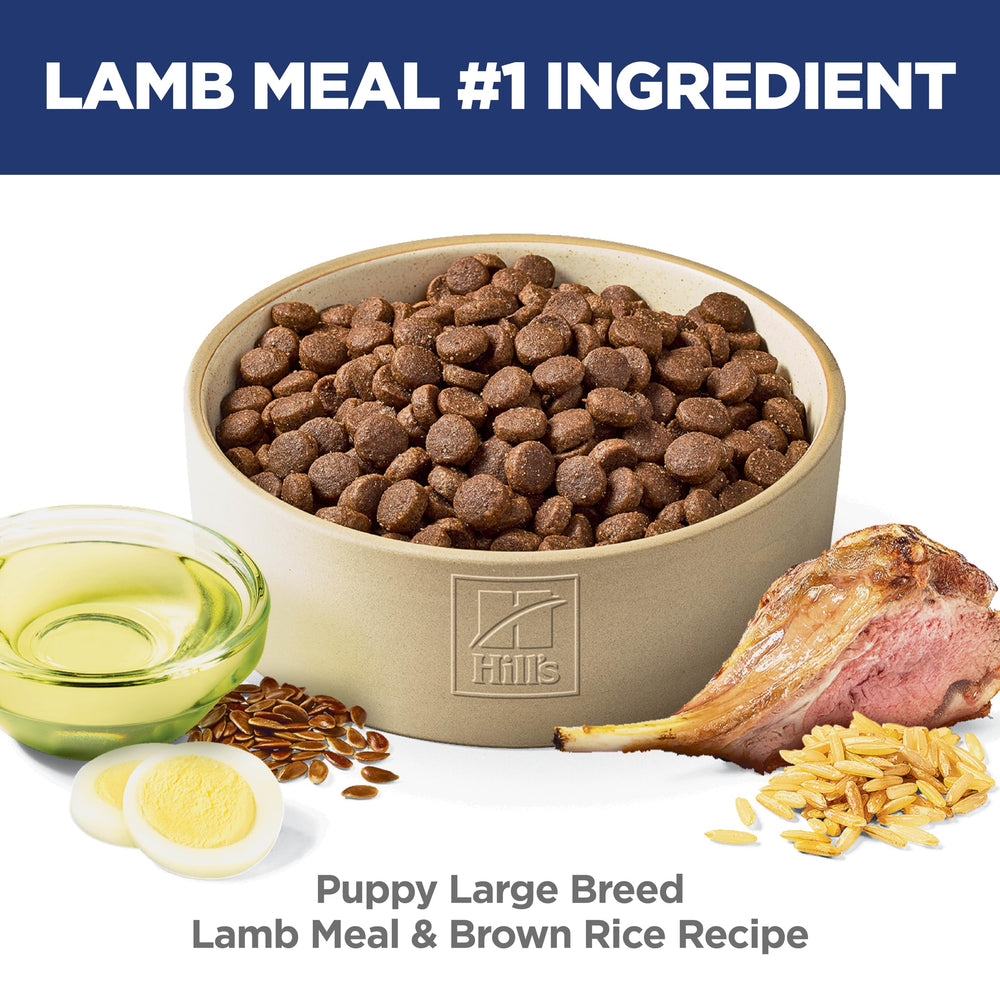 Hill's Science Diet Puppy Large Breed kibble close-up shows high-quality protein for lean muscles