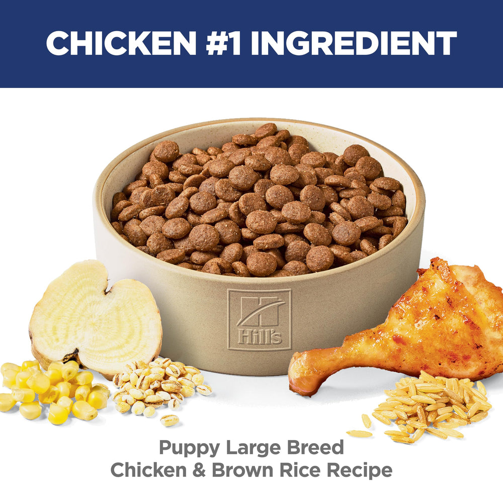 Hill's Science Diet Puppy Large Breed kibble closeup shows crispy texture for digestion.