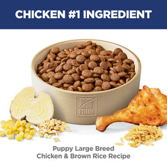 Hill's Science Diet Puppy Large Breed kibble closeup shows crispy texture for digestion.