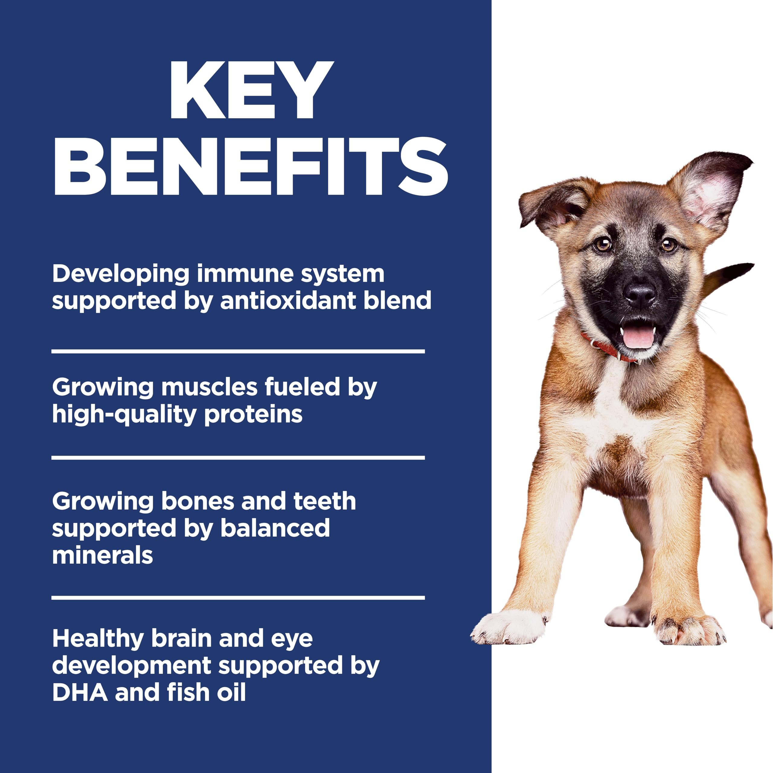Hill's Science Diet Puppy Large Breed dish demonstrates portioned feeding for balanced growth