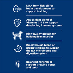 Hill's Science Diet Puppy nutrition label highlights minerals and vitamins for healthy development.