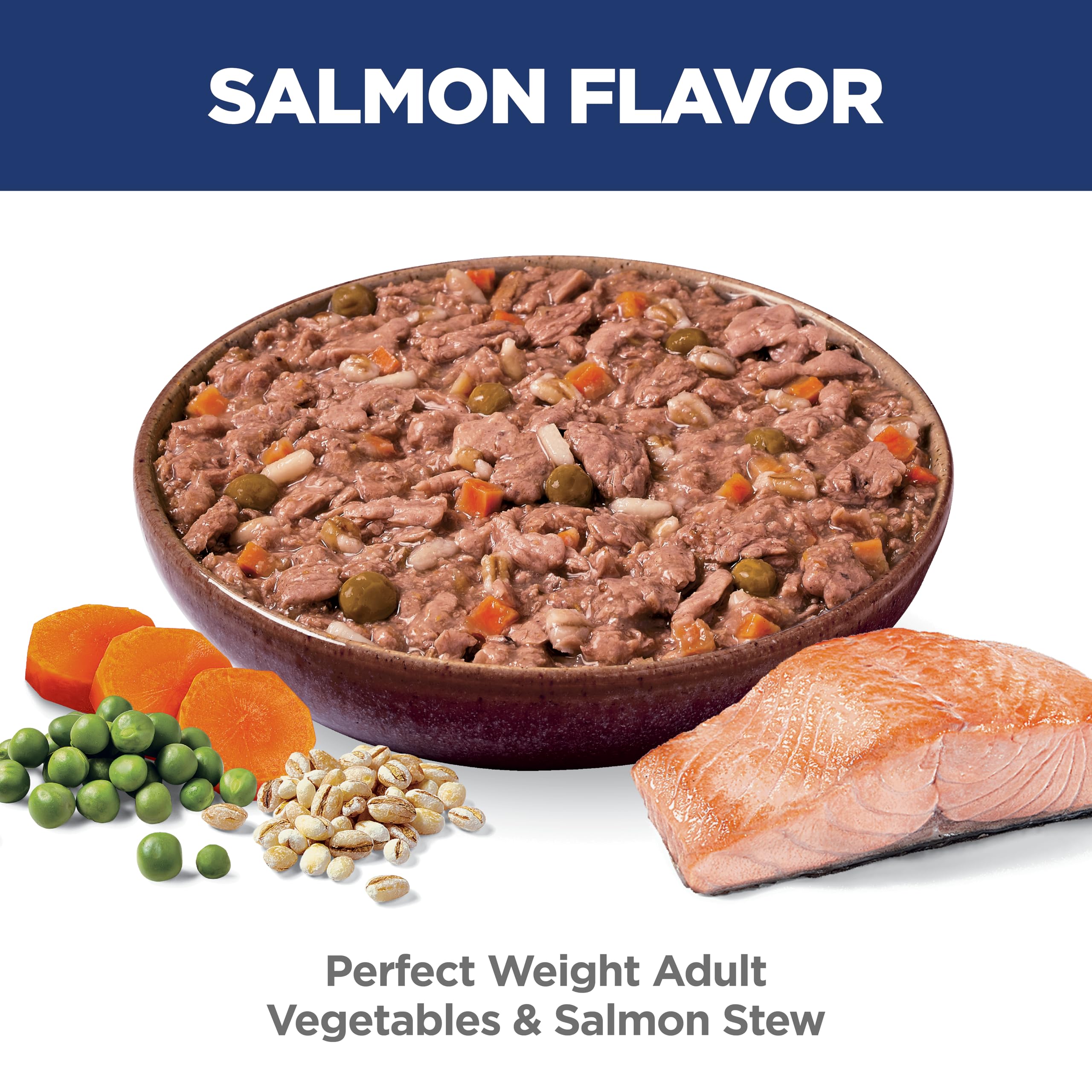 Hill's Science Diet Salmon & Vegetable Stew in a dog bowl