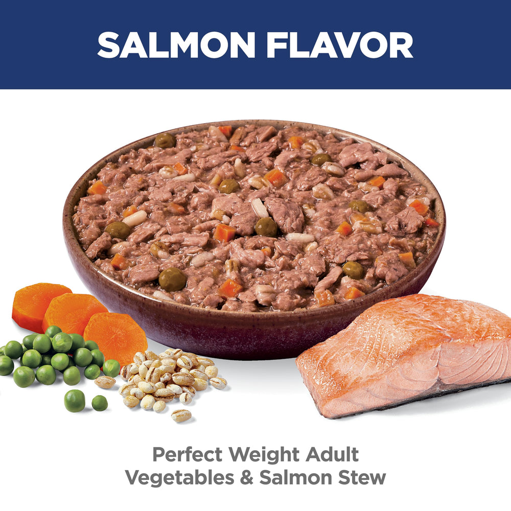 Hill's Science Diet Salmon & Vegetable Stew in a dog bowl
