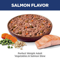 Hill's Science Diet Salmon & Vegetable Stew in a dog bowl
