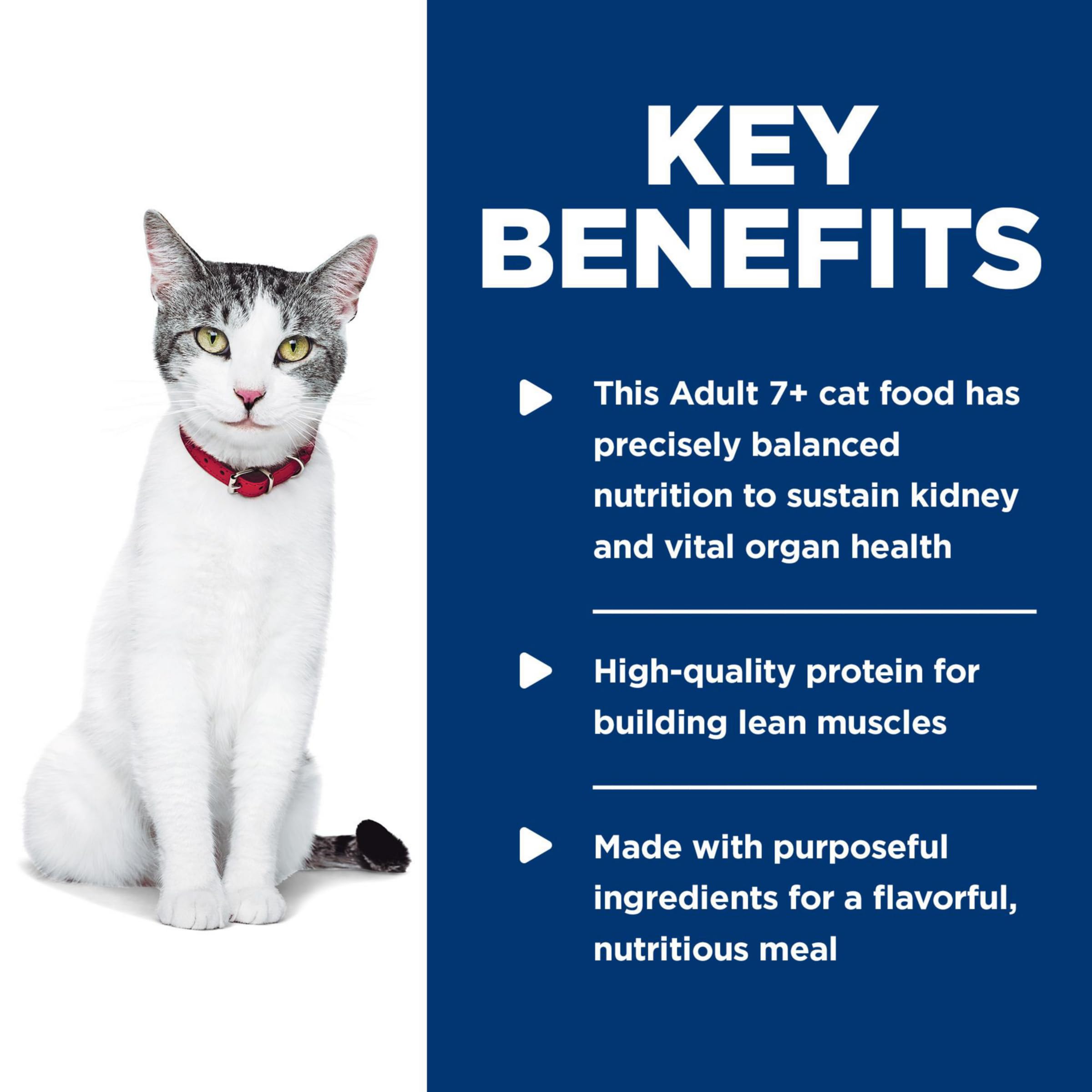 Hill's Science Diet Senior 11+ kidney-health nutrition can packaging