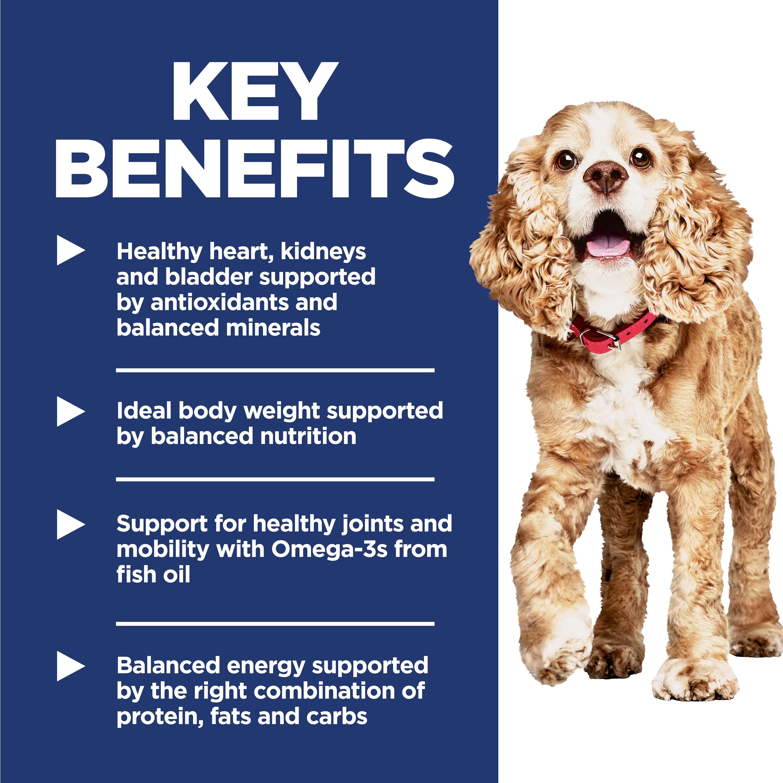 Hill's Science Diet Senior 11+ kibble close-up showing omega-3s for joints and mobility.