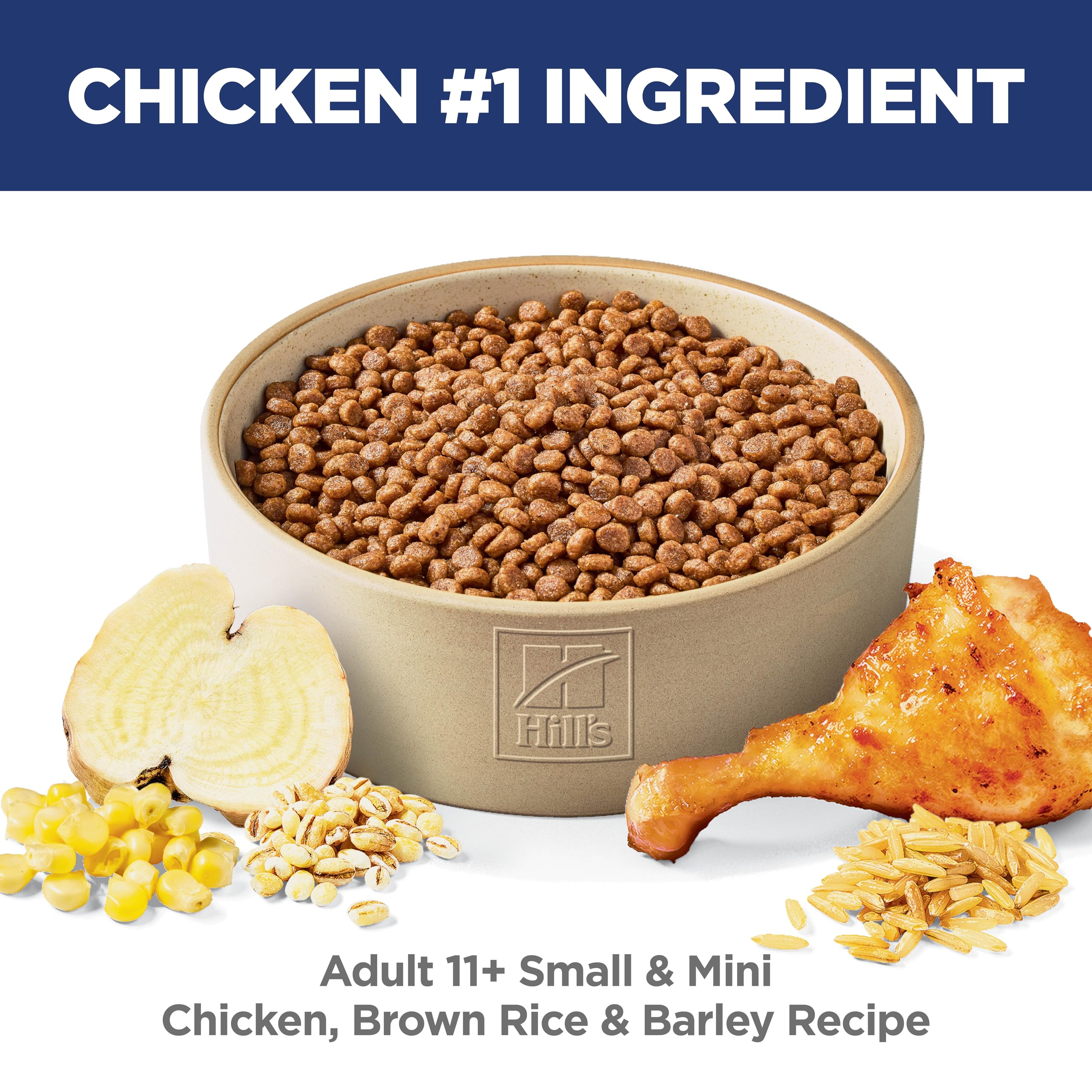 Hill's Science Diet Senior 11+ kibble with brown rice and barley promotes steady energy.